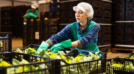 Barcode and RFID Labeling