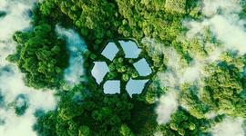 Sustainability & Quality Commitment