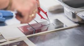 Label & RFID Development