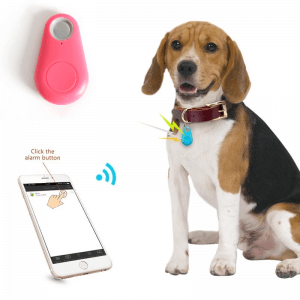 dog gps tracker